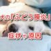 犬　ぶどう膜炎