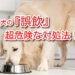 犬 誤飲 嘔吐