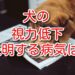 犬　視力　低下