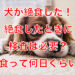 犬 絶食