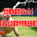 犬 脱水症状