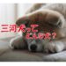 三河犬　絶滅　日本犬