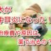 犬　中耳炎