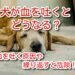 犬 血を吐く