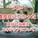 膿皮症 犬