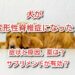 変形性脊椎症 犬