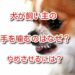 犬 手を噛む
