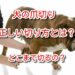 犬 爪 切り方