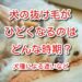 犬 抜け毛 時期