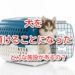 犬　預ける