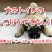 トイレ の しつけ 犬