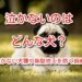 泣かない 犬
