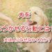 犬 なつかせる