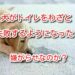 犬 わざと トイレ 失敗