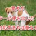 タール便 犬