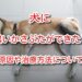 犬 かさぶた 黒い