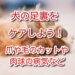 犬 足裏