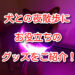 犬 夜 散歩 グッズ