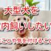 大型犬 室内飼い