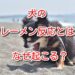 犬 フレーメン反応