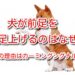 犬 片足上げる