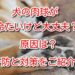 犬 肉球 冷たい