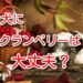 犬　クランベリー