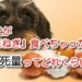 犬 玉ねぎ 致死量　たまねぎ