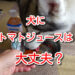 犬　トマト　ジュース