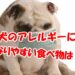 犬のアレルギーになりやすい食べ物